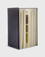 Load image into Gallery viewer, 300 Years Before Color (Black & Gold Edition) - A. Boogert