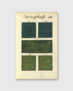 Load image into Gallery viewer, 300 Years Before Color (Black & Gold Edition) - A. Boogert