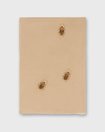 Load image into Gallery viewer, Bugs Scarf in Chantrelle