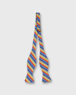 Load image into Gallery viewer, Cotton Bow Tie in Primary Emory Stripe
