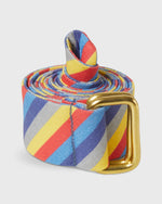 Load image into Gallery viewer, D-Ring Belt in Primary Emory Stripe