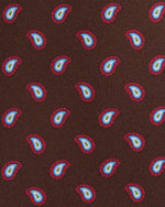 Load image into Gallery viewer, Silk Print Tie in Brown/Red/Sky Paisley