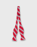 Load image into Gallery viewer, Silk Bow Tie in Red/French Blue Banks Stripe