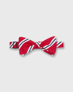 Load image into Gallery viewer, Silk Bow Tie in Red/French Blue Banks Stripe