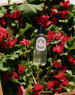 Load image into Gallery viewer, Limited Edition 2025 Summer Body Spray in Citronnelle & Geranium