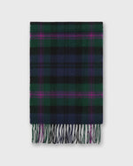 Load image into Gallery viewer, Tartan Lambswool Scarf in Baird Modern
