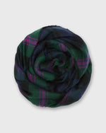 Load image into Gallery viewer, Tartan Lambswool Scarf in Baird Modern