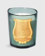 Load image into Gallery viewer, Classic Scented Candle in Figuerie