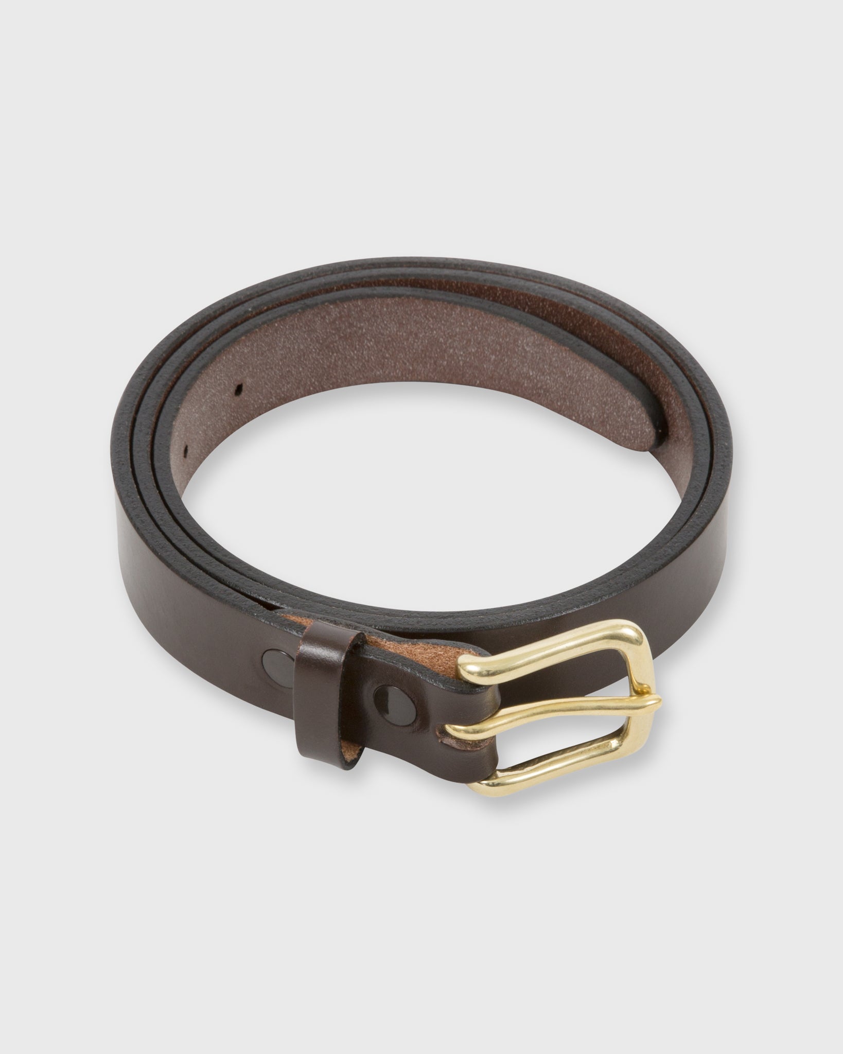 1" Belt in Chocolate Bridle