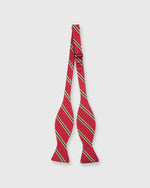Load image into Gallery viewer, Silk Woven Bow Tie Red/Green/Gold Dragoons 6th Stripe