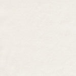 Load image into Gallery viewer, Made-to-Order Fabric in Ivory Silk Shantung