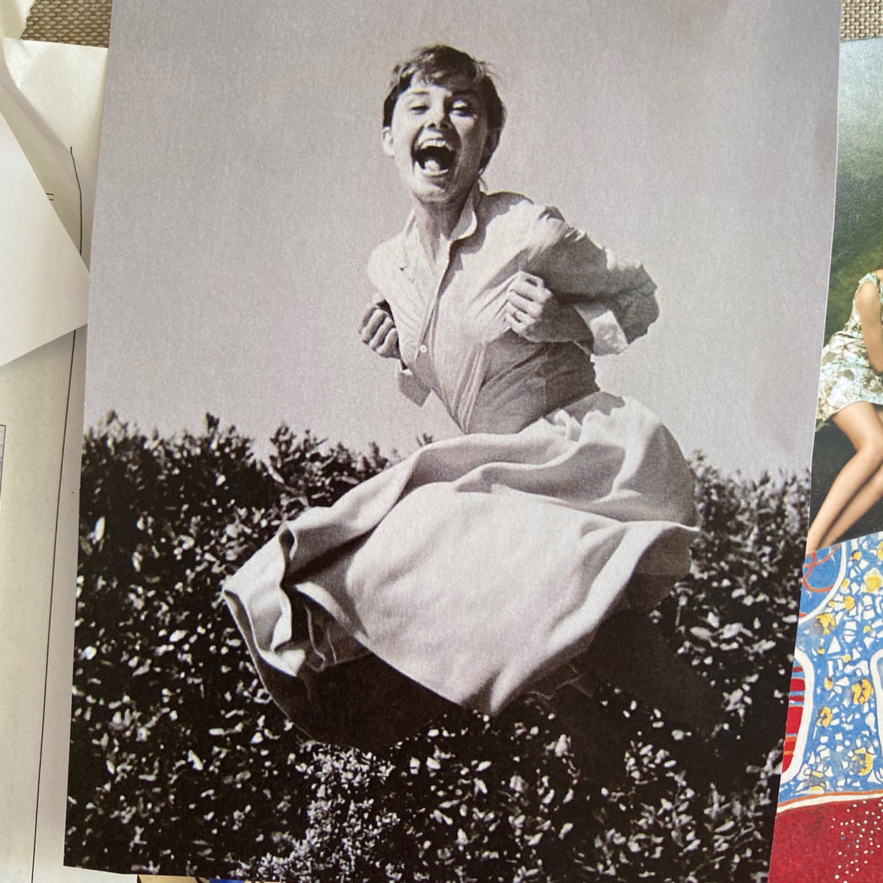 The Shirtwaist Dress