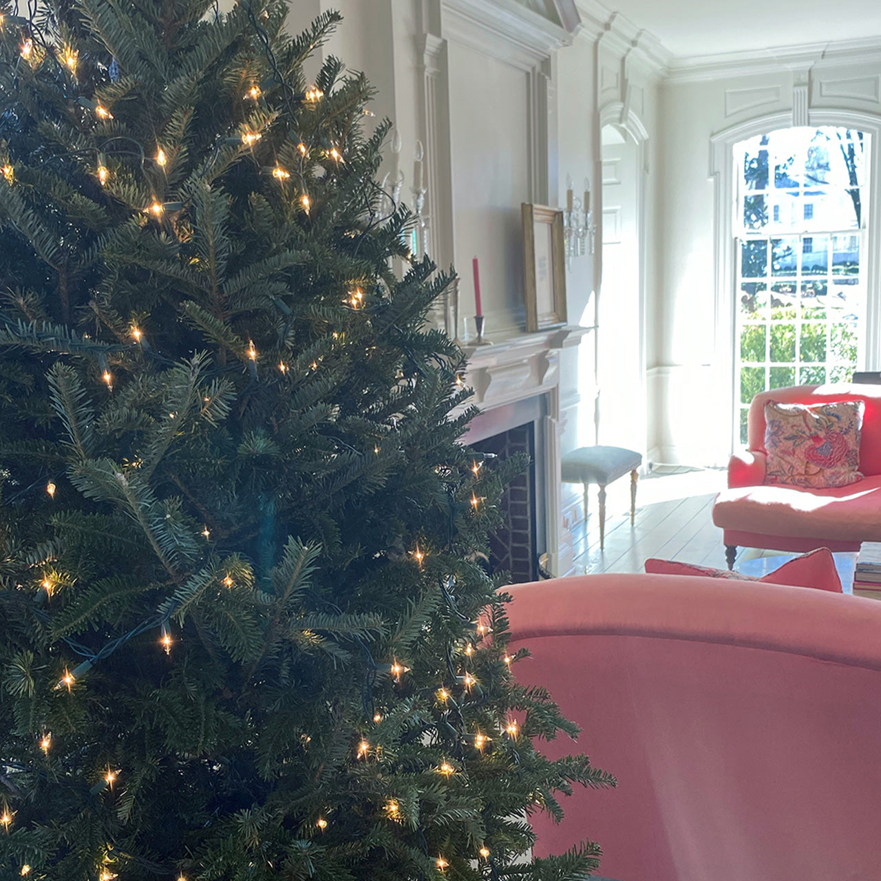 This Year's Christmas List