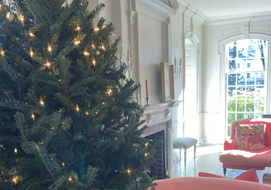 This Year's Christmas List