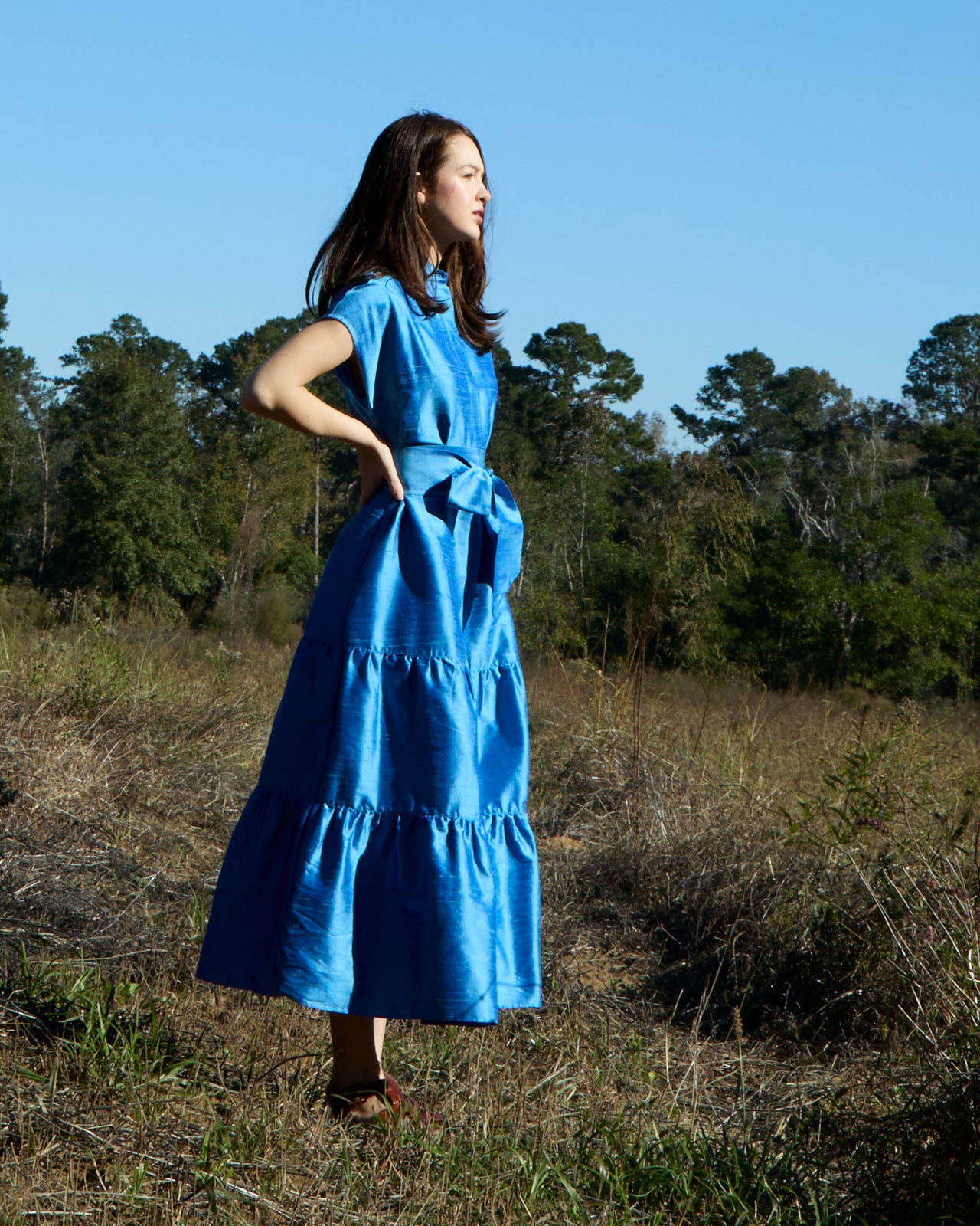 Sophia Dress in Iris Silk Dupioni