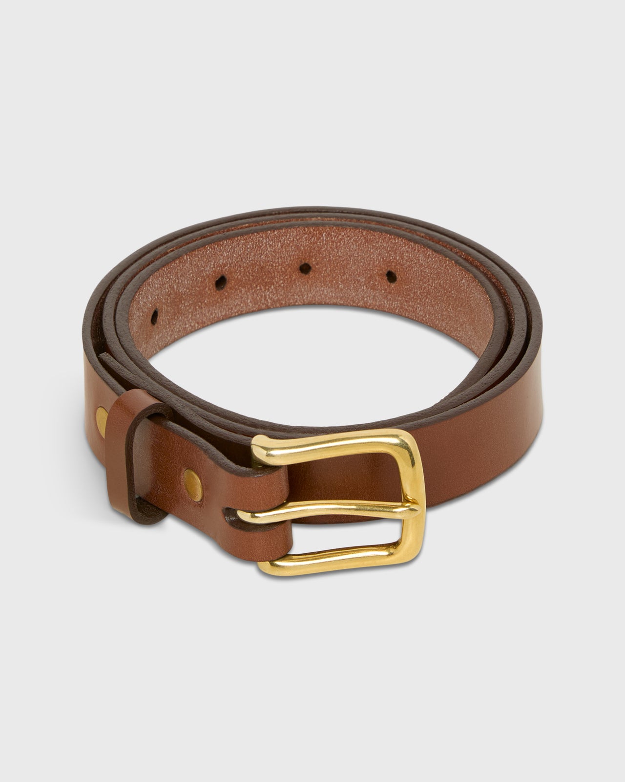1" Belt in Medium Brown Bridle