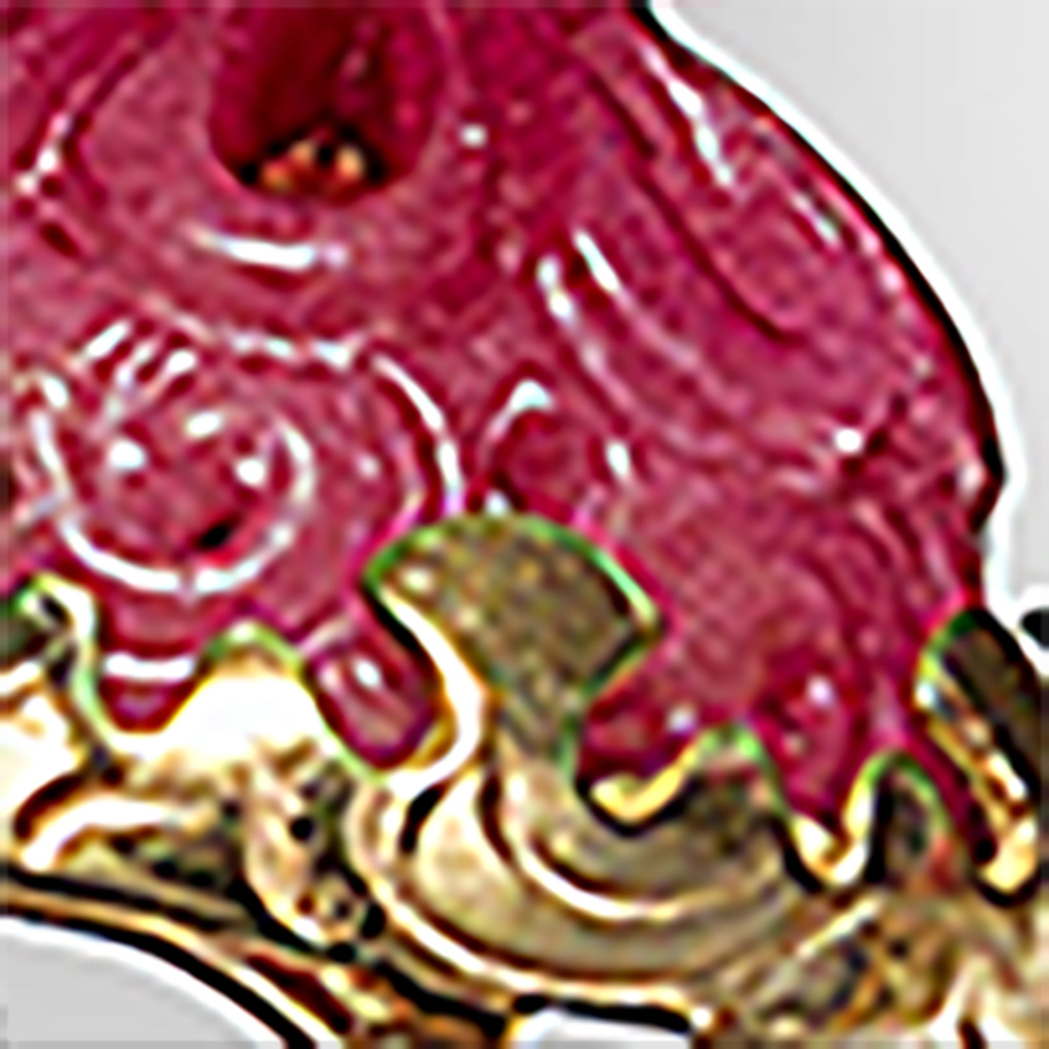 Aviary Classic Earrings in Gold/Bubble Pink/Fuchsia/White