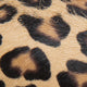 Buckle Heel in Leopard Calf Hair