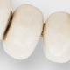 Large Cowbone Beads in Ivory