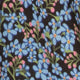 Track Short in Light Blue/Coral Star Anise Liberty Fabric