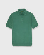 Load image into Gallery viewer, Hyannis Polo Sweater in Ivy Cotton
