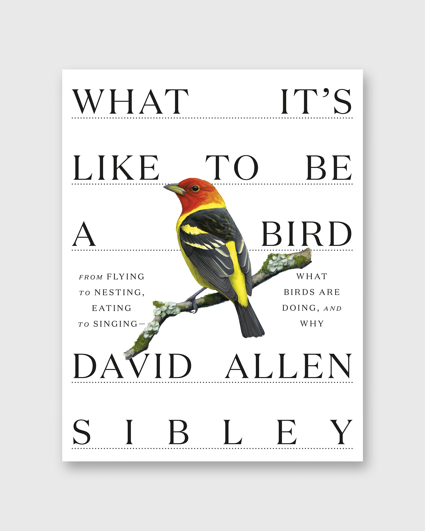 What It's Like to Be a Bird - David Allen Sibley
