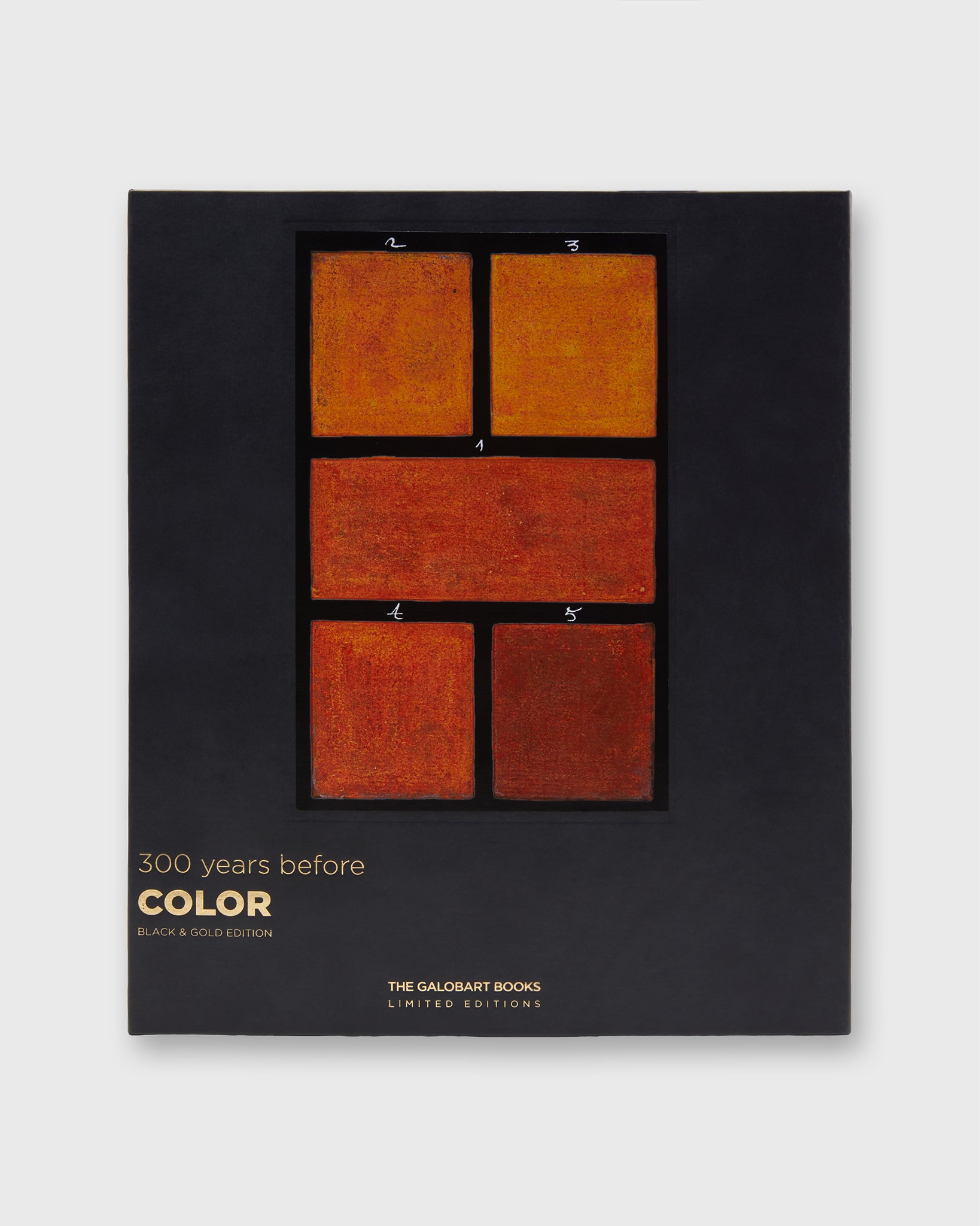 300 Years Before Color (Black & Gold Edition) - A. Boogert