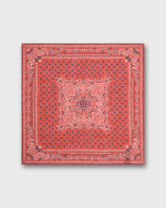 Load image into Gallery viewer, Linen/Cotton Print Pocket Square in Salmon/Navy Flower Paisley
