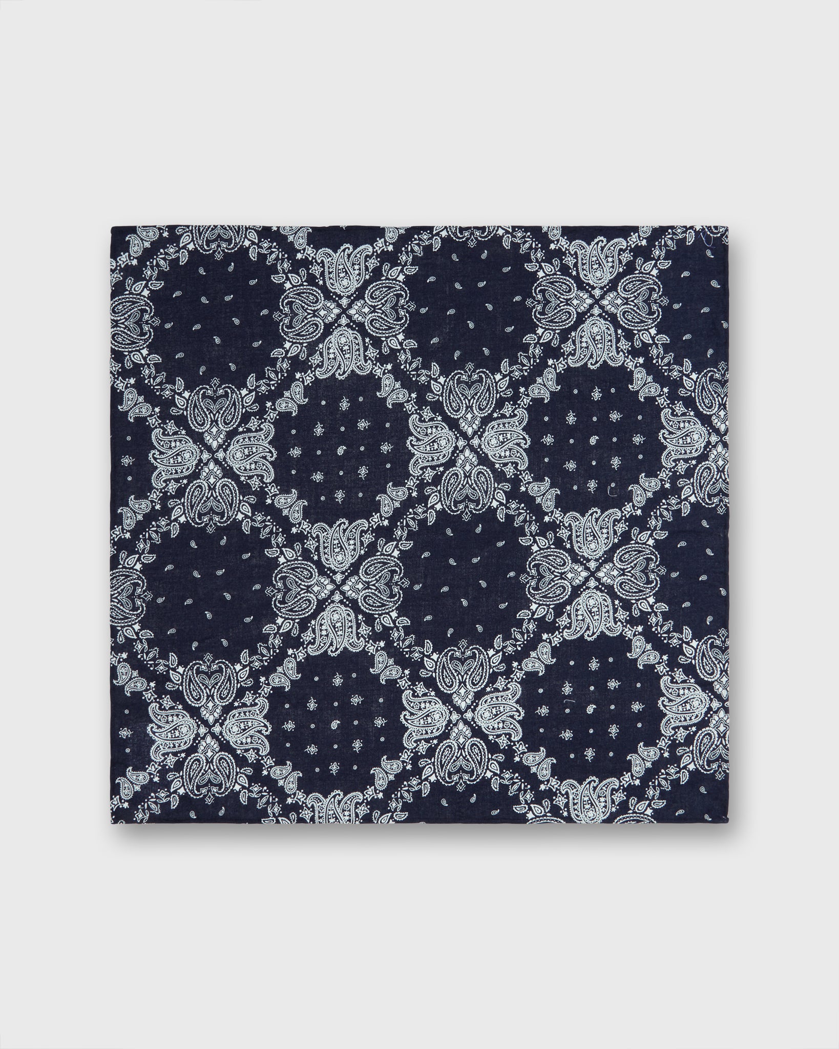 Cotton Print Pocket Square in Navy/White Paisley