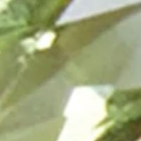 Apple Earrings in Peridot/Citrine