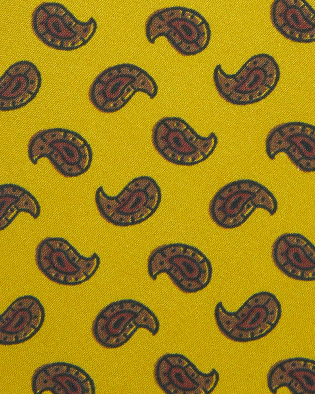 Silk Print Tie in Straw/Brown/Red Paisley