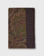 Load image into Gallery viewer, Wool/Cashmere Print Scarf in Brick/Gold Paisley
