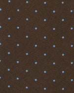 Load image into Gallery viewer, Irish Poplin Tie in Brown/Sky Pin Dot
