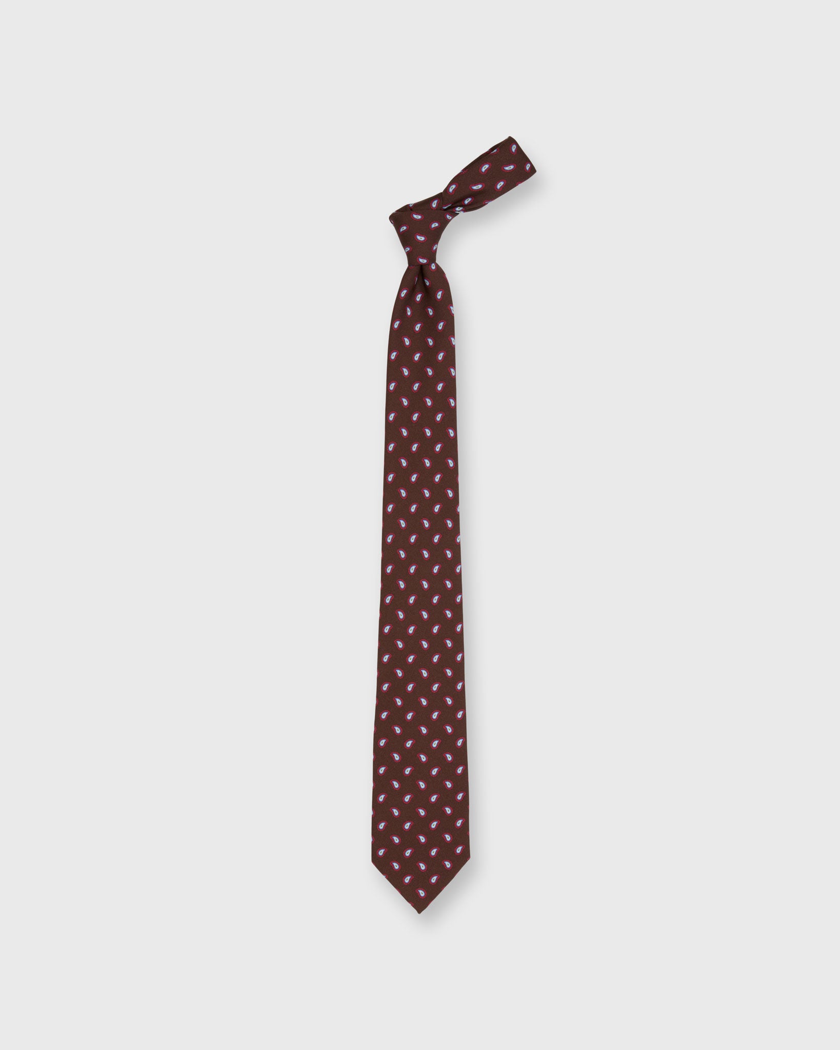 Silk Print Tie in Brown/Red/Sky Paisley