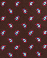 Load image into Gallery viewer, Silk Print Tie in Brown/Red/Sky Paisley
