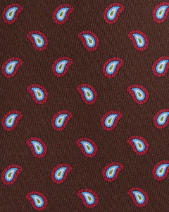 Silk Print Tie in Brown/Red/Sky Paisley