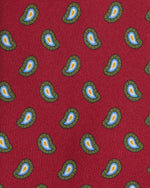 Load image into Gallery viewer, Silk Print Tie in Red/Green/Sky Paisley
