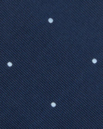 Load image into Gallery viewer, Silk Woven Tie in Navy/Sky Dot
