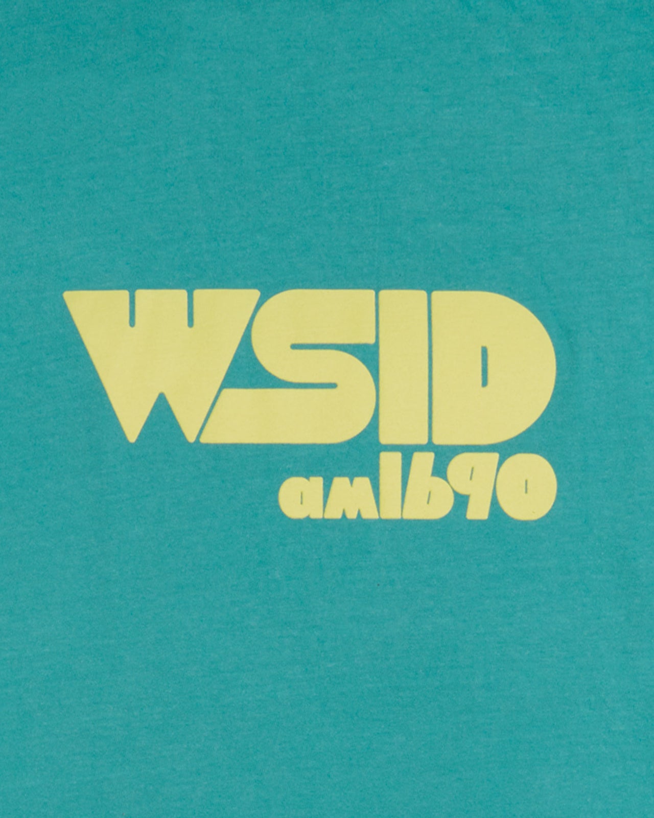 WSID T-Shirt in Seafoam