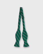 Load image into Gallery viewer, Silk Bow Tie in Forest/Navy Queens Stripe
