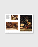 Load image into Gallery viewer, The Monocle Book of Japan
