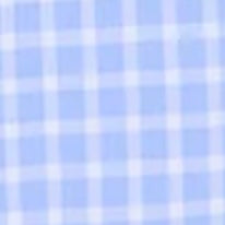 Spread Collar Sport Shirt in Dutch/White Graph Check Poplin