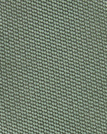 Load image into Gallery viewer, Silk Woven Tie in Green
