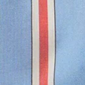 Natalia Blouse in Blue/Persimmon Bold Stripe Crepe de Chine