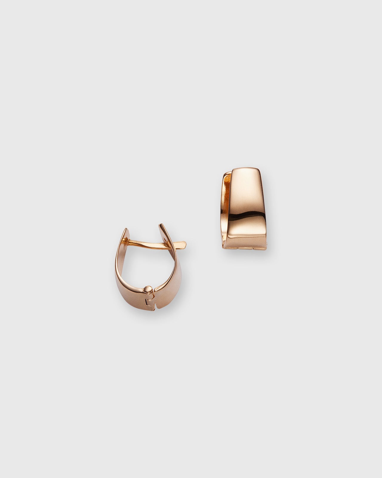 Small Wide Hoop Earrings in Gold