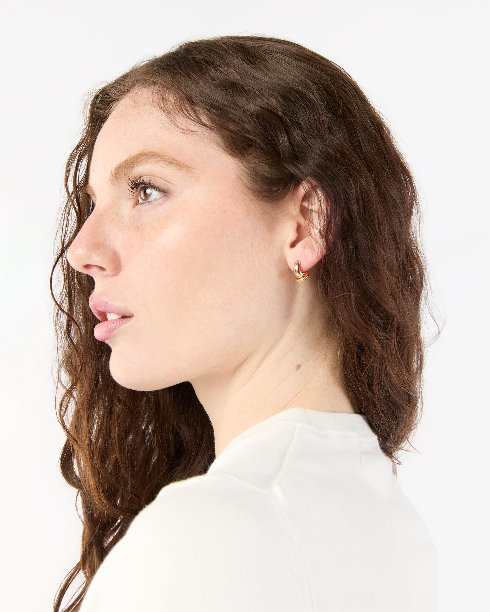 Small Double Hoop Earrings in Gold