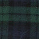 Lena Slip in Blackwatch Tartan Flannel