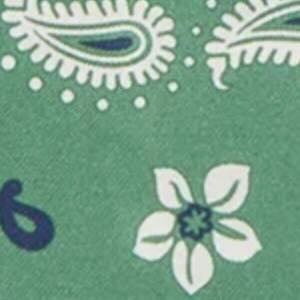 Medium Hand-Rolled Silk Scarf in Leaf Floral Paisley