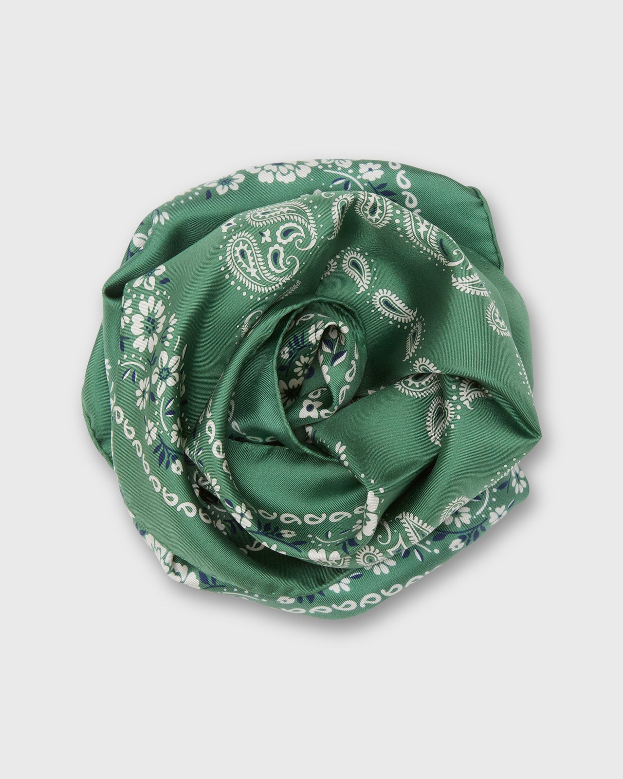 Medium Hand-Rolled Silk Scarf in Leaf Floral Paisley