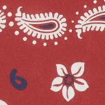 Medium Hand-Rolled Silk Scarf in Red Floral Paisley